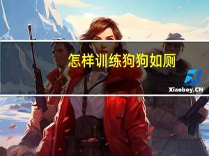 怎样训练狗狗如厕