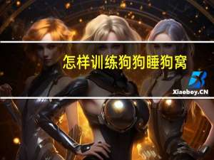 怎样训练狗狗睡狗窝