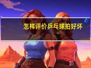 怎样评价乒乓球拍好坏