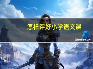 怎样评好小学语文课