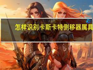 怎样识别卡斯卡特侧移器属具