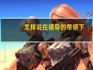 怎样说在领导的带领下