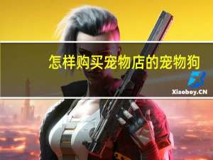 怎样购买宠物店的宠物狗