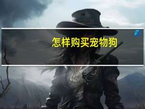 怎样购买宠物狗