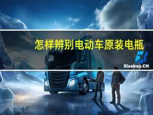 怎样辨别电动车原装电瓶