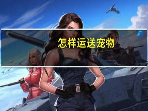 怎样运送宠物
