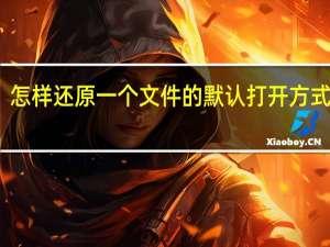 怎样还原一个文件的默认打开方式设置（怎样还原一个文件的默认打开方式）