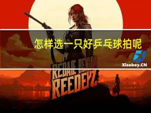 怎样选一只好乒乓球拍呢