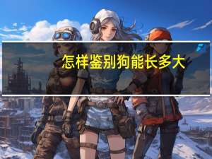 怎样鉴别狗能长多大