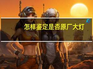 怎样鉴定是否原厂大灯