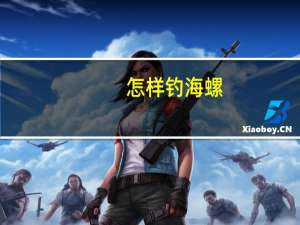 怎样钓海螺