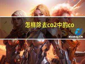 怎样除去co2中的co
