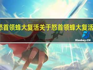 怒首领蜂大复活 关于怒首领蜂大复活的介绍