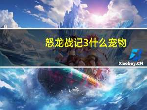 怒龙战记3什么宠物