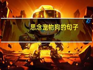 思念宠物狗的句子