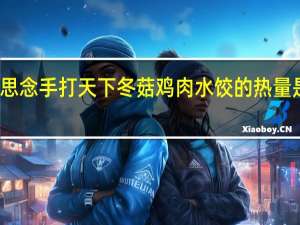 思念 手打天下冬菇鸡肉水饺的热量是多少