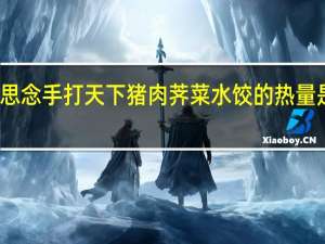 思念 手打天下猪肉荠菜水饺的热量是多少