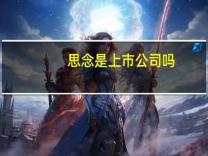思念是上市公司吗