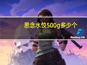 思念水饺500g多少个