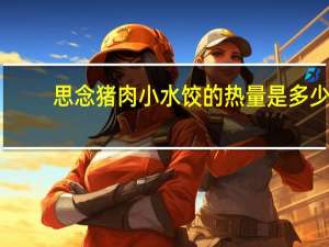 思念 猪肉小水饺的热量是多少