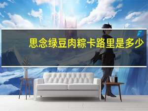 思念 绿豆肉粽卡路里是多少