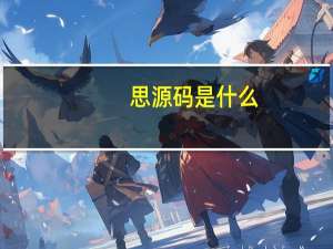 思源码是什么