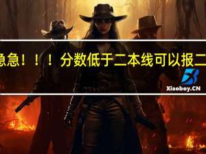急急急！！！分数低于二本线可以报二本补录吗