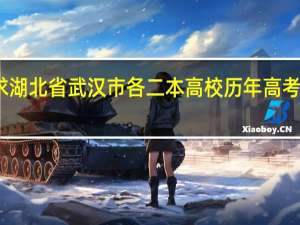 急求湖北省武汉市各二本高校历年高考录取分数.