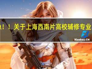 急！！关于上海西南片高校辅修专业！！！！
