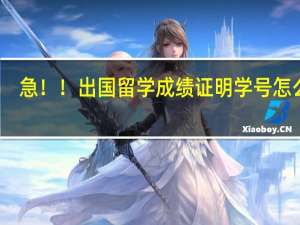 急！！出国留学成绩证明学号怎么填