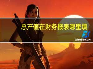 总产值在财务报表哪里填（总产值在财务报表哪里）