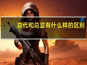总代和总监有什么样的区别