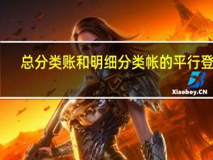 总分类账和明细分类帐的平行登记