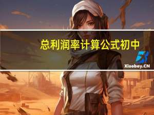 总利润率计算公式初中（总利润计算公式）