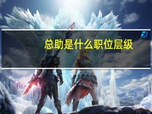总助是什么职位层级