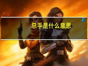 总手是什么意思