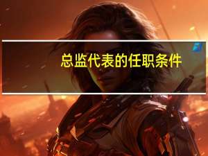 总监代表的任职条件