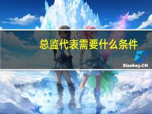 总监代表需要什么条件