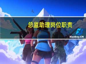 总监助理岗位职责