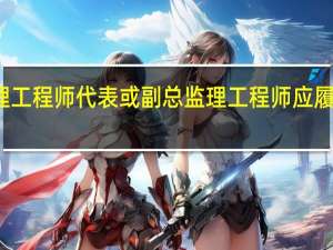 总监理工程师代表或副总监理工程师应履行哪些职责