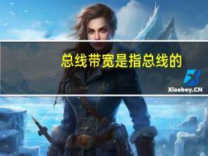 总线带宽是指总线的（总线带宽的计算公式）