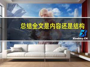 总结全文是内容还是结构