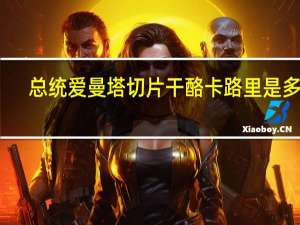 总统 爱曼塔切片干酪卡路里是多少