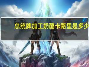 总统 牌加工奶酪卡路里是多少