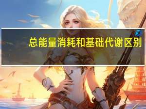 总能量消耗和基础代谢区别