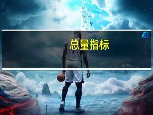 总量指标