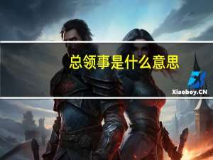 总领事是什么意思
