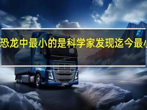 恐龙中最小的是 科学家发现迄今最小恐龙