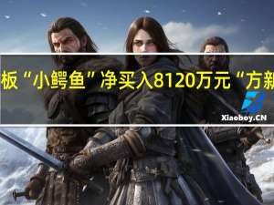 恒为科技四天三板 “小鳄鱼”净买入8120万元 “方新侠”净卖出1936万元