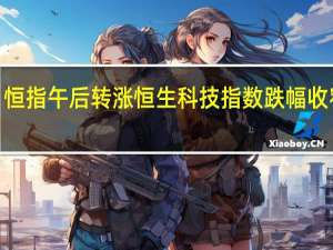 恒指午后转涨恒生科技指数跌幅收窄至0.5%